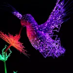 An electronically lit up hummingbird feeds from an electronically lit flower against a black background.